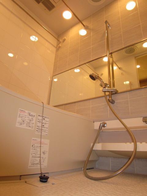Bathroom. Indoor (10 May 2013) Shooting