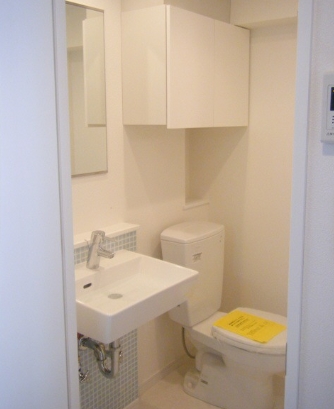 Washroom. Popular independent basin