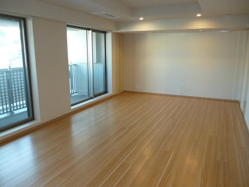 Living. Indoor (11 May 2013) Shooting