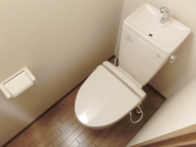 Toilet. Toilet