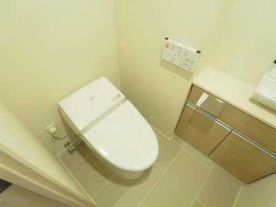 Toilet. Warm water washing toilet seat