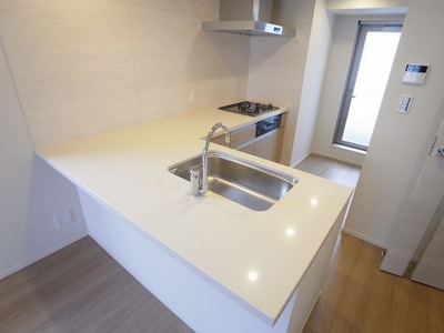 Kitchen. Widely and easy to use face-to-face kitchen