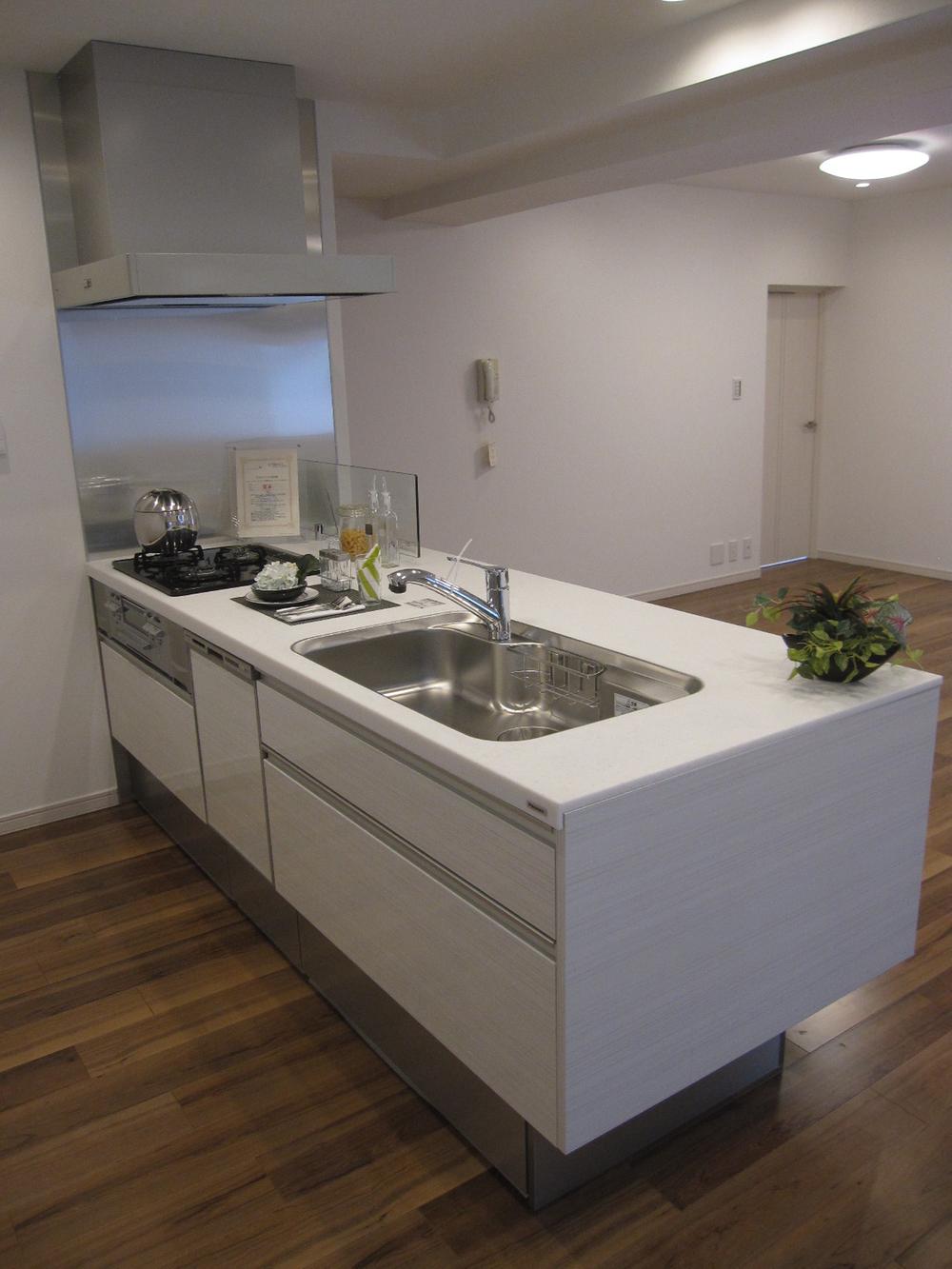 Kitchen. Indoor (12 May 2013) Shooting