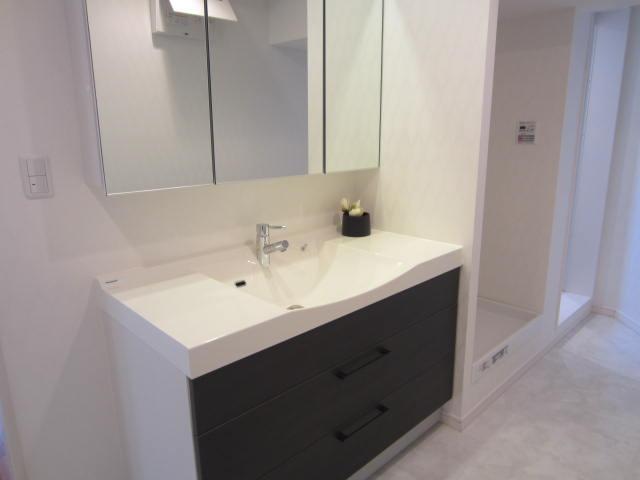 Wash basin, toilet. Indoor (March 2012) shooting