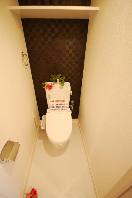 Toilet. Indoor (12 May 2013) Shooting