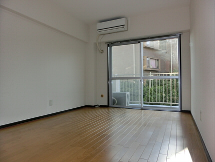 Living and room. Living