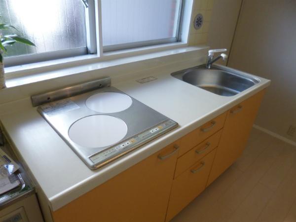 Kitchen. IH systems with kitchen