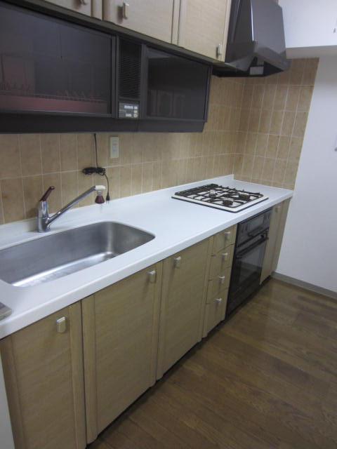 Kitchen. Indoor (September 2013) Shooting