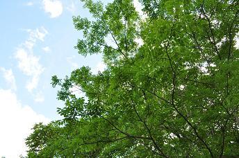 Other. If you look for a condominium in Tokyo ~ Satis ~