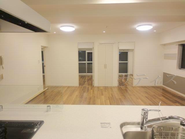 Living. Looking from the kitchen. The room is very wide!