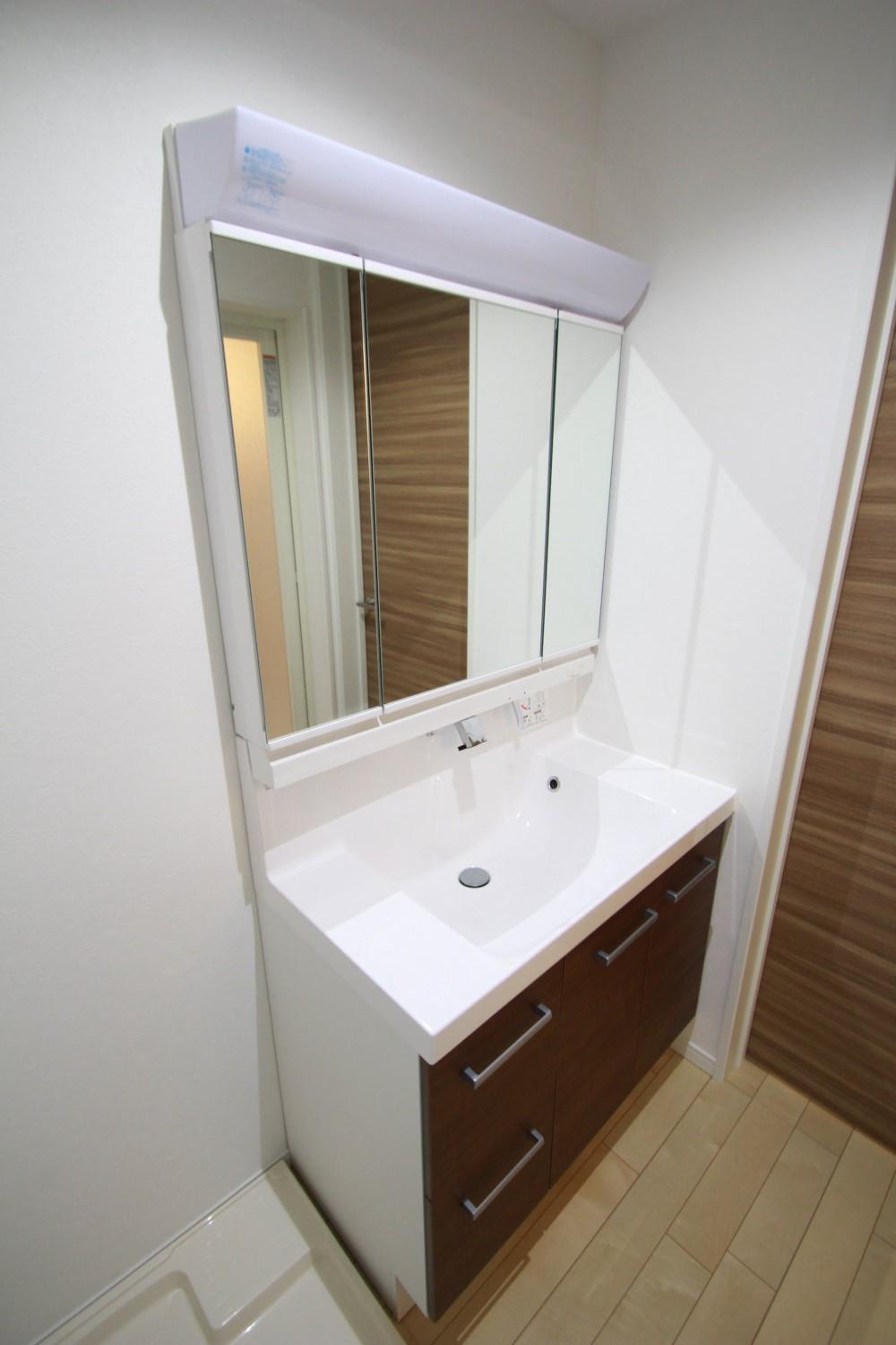 Wash basin, toilet. Vanity with shampoo dresser