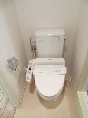 Toilet. With hot water cleaning function