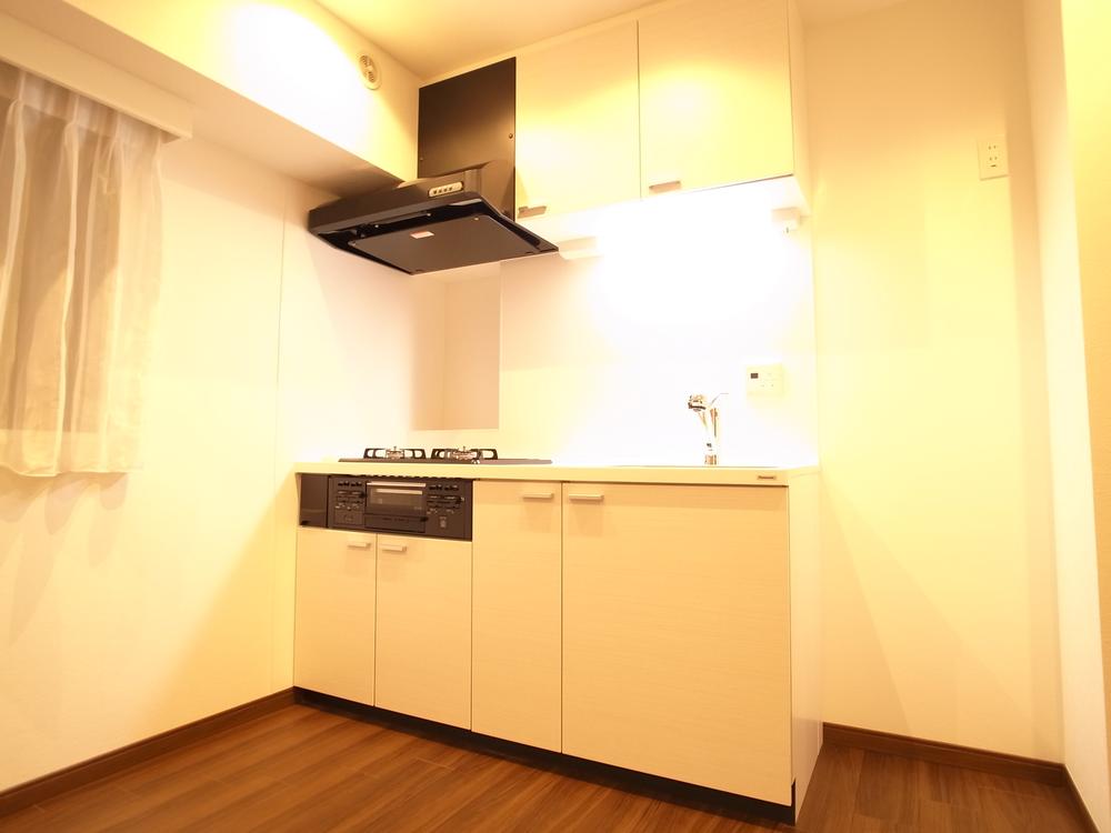 Kitchen. Indoor (11 May 2013) Shooting