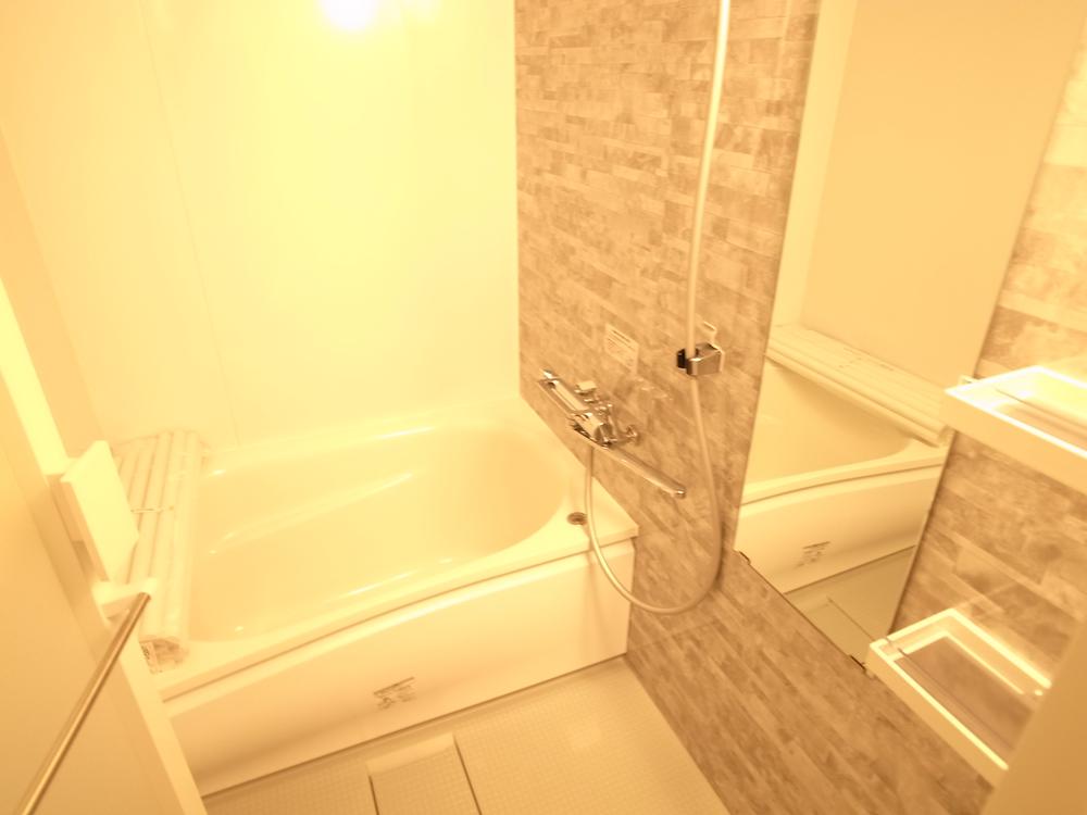 Bathroom. Indoor (11 May 2013) Shooting