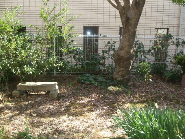 Other local. Local (March 2013) Shooting