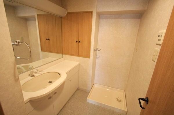 Wash basin, toilet. Spacious wash basin
