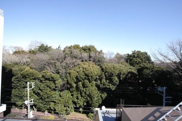 View photos from the dwelling unit. Green of Shinjuku Gyoen