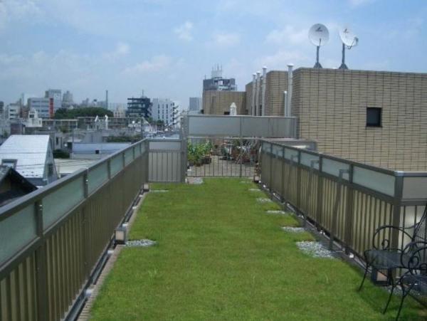 Balcony. Rooftop private roof terrace (with private inner elevator)