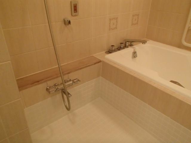 Bathroom. Indoor (12 May 2013) Shooting