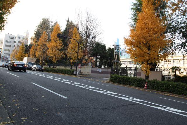 Other. Secondary road