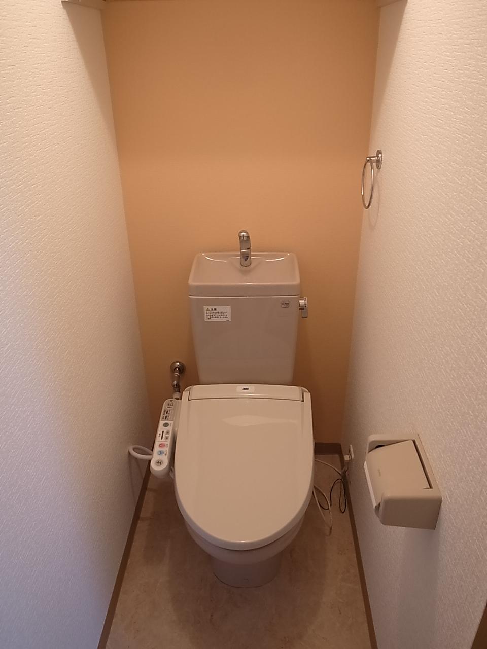 Toilet. Washlet toilet
