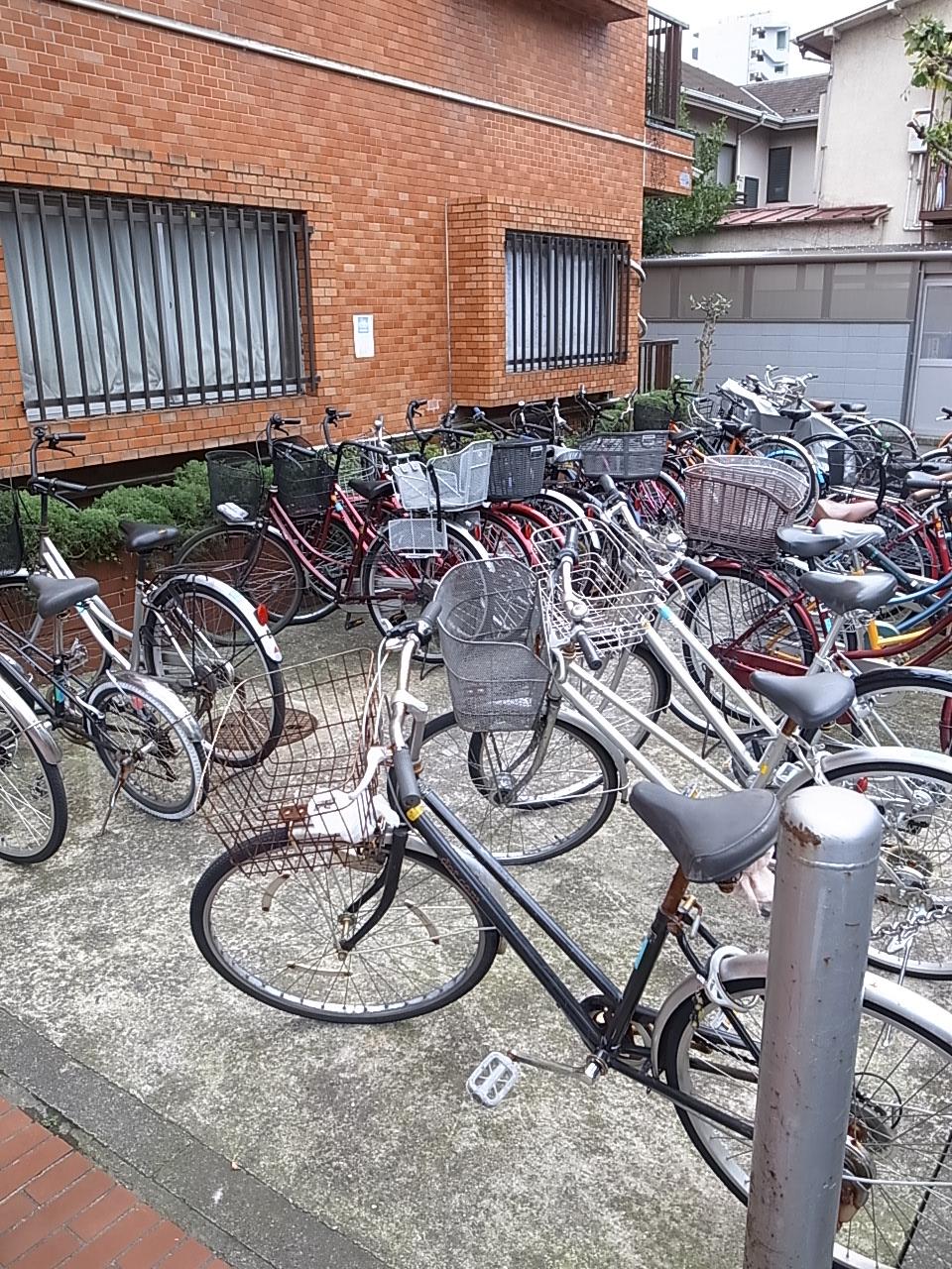 Other common areas. Parking space available in front apartment