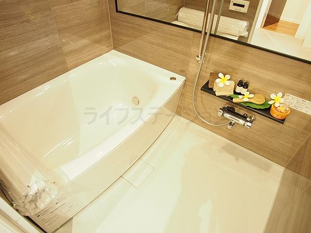 Bathroom. Indoor (11 May 2013) Shooting