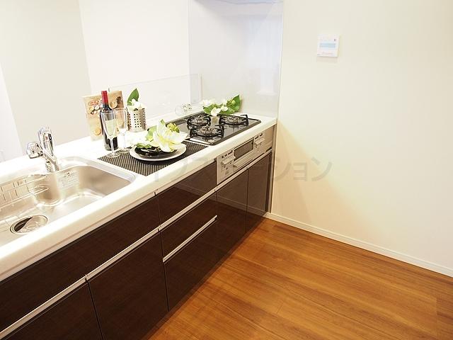Kitchen. Indoor (11 May 2013) Shooting