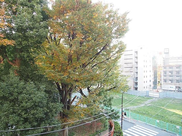 View photos from the dwelling unit. View from the site (November 2013) Shooting
