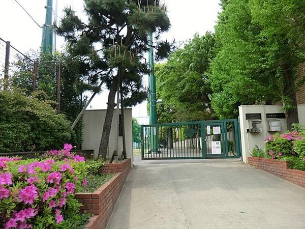 Junior high school. Shoto 800m until junior high school