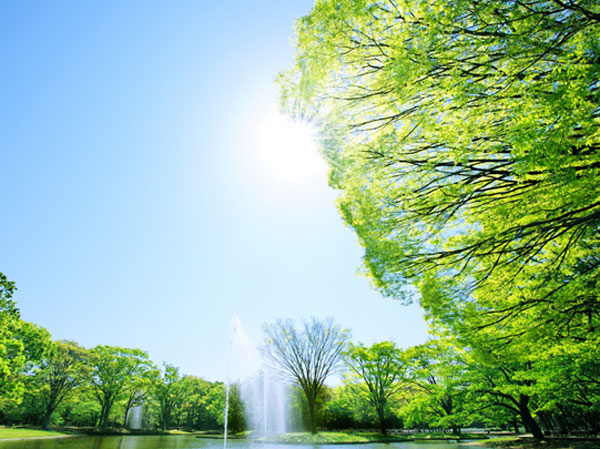 Surrounding environment. Site area of ​​about 540529 sq m , Including the Yoyogi Park, which boasts approximately Tokyo Dome breadth of 11 pieces, It is Tokyo's leading vast green forest, I served with the moisture in the life of the land. Namiki of zelkova Ya, Sakura, Directing the beautiful colors of the trees is seasonal, such as maple. Leafy shade full of rest is, It harbors a comfort to forget the hustle and bustle of the city center.  ※ Yoyogi Park (about 620m / An 8-minute walk)