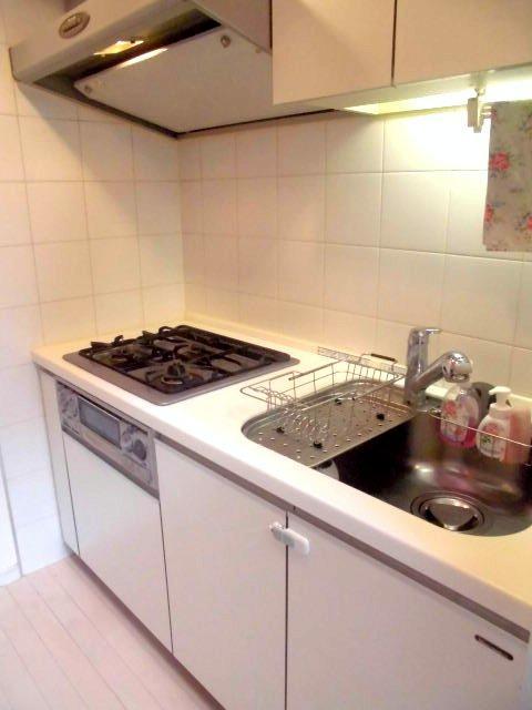 Kitchen. Indoor (10 May 2013) Shooting