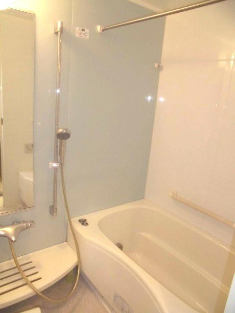 Bathroom. Indoor (10 May 2013) Shooting