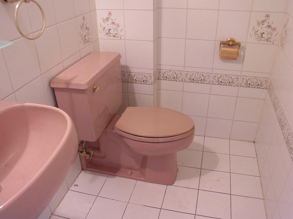 Toilet. Separate toilet