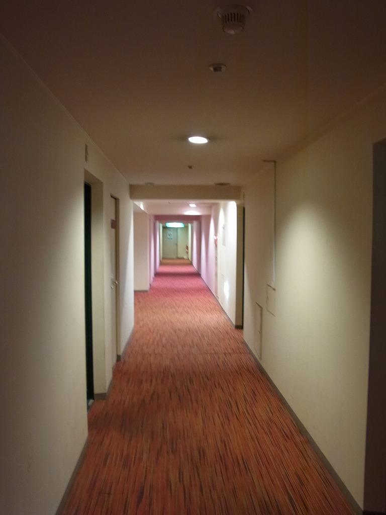 Entrance. Per room in the hotel, Inner hallway is a design