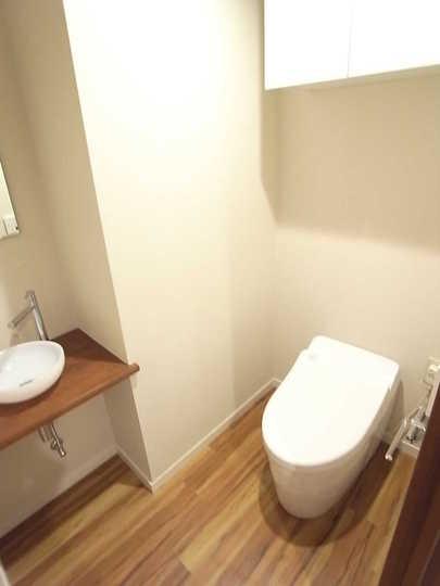 Toilet. Tankless toilet There is housed in the upper part.