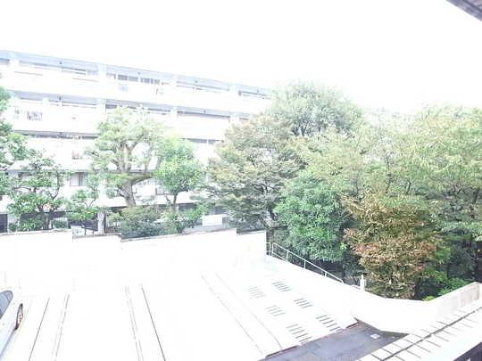 View photos from the dwelling unit. Green view balcony