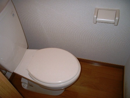 Toilet. Toilet