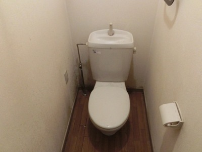 Toilet. Toilet