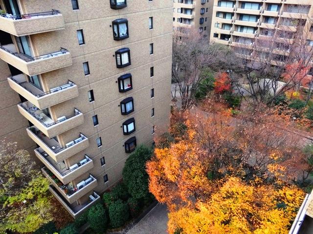 View photos from the dwelling unit. View from the site (December 2013) Shooting