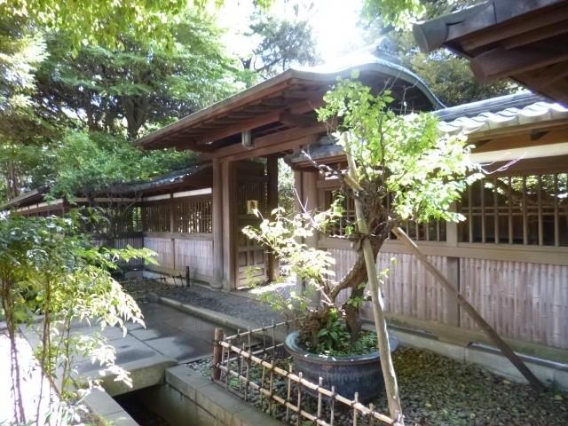 Other local. Komazawa Park