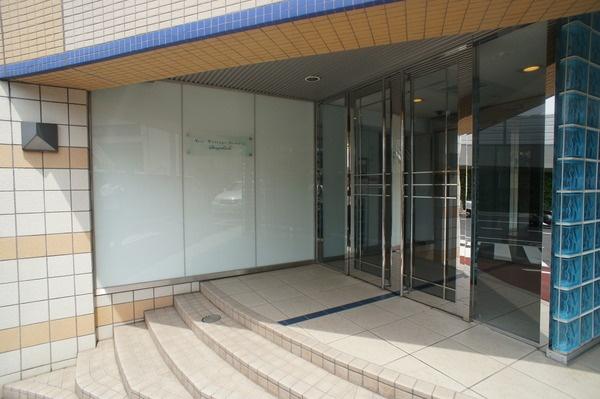Entrance. Common areas