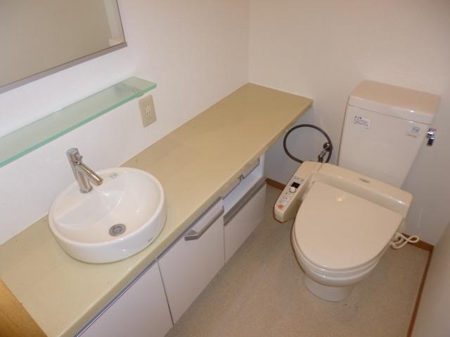 Toilet. Handwashing with counter