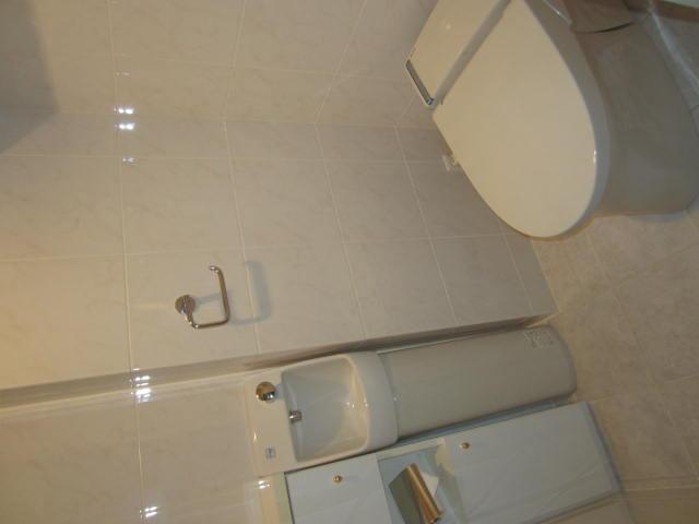 Toilet. Indoor (10 May 2013) Shooting