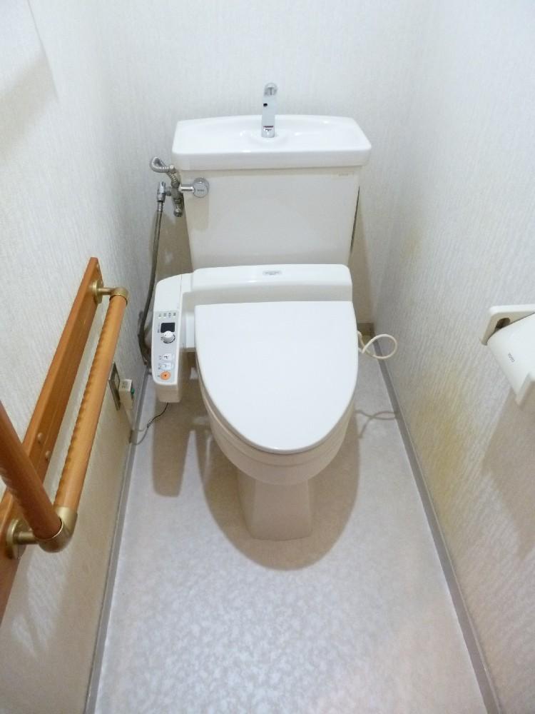 Toilet. Room (August 2013) Shooting