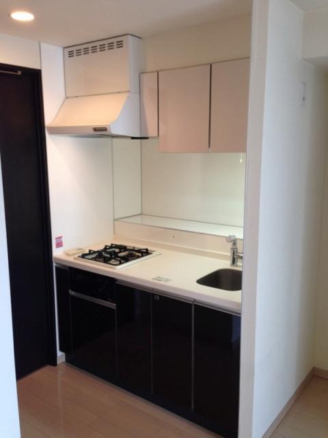 Kitchen. Cooking lover happy system kitchen equipped