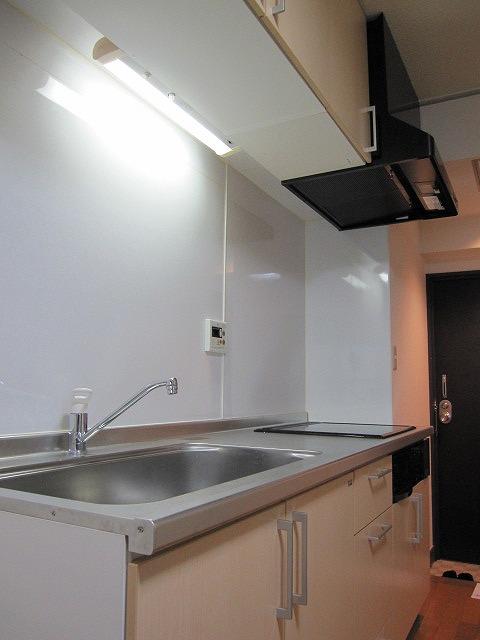 Kitchen. Indoor (10 May 2013) Shooting