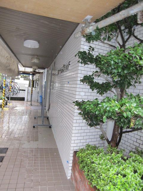 Entrance. Common areas
