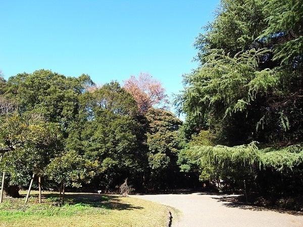 park. 691m to Komaba park