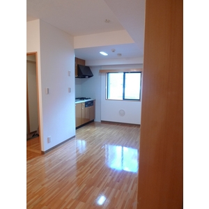 Living and room. LDK